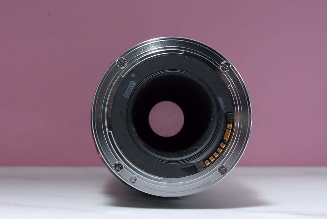 最終価格✨美品✨Canon EF 100-300mm 超望遠ズームレンズ