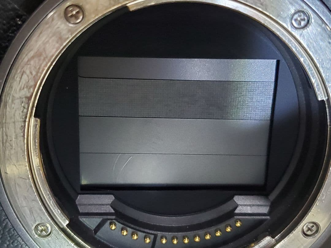 Canon EOS R6 ボディ本体 中古品 LP-E6NH 2個