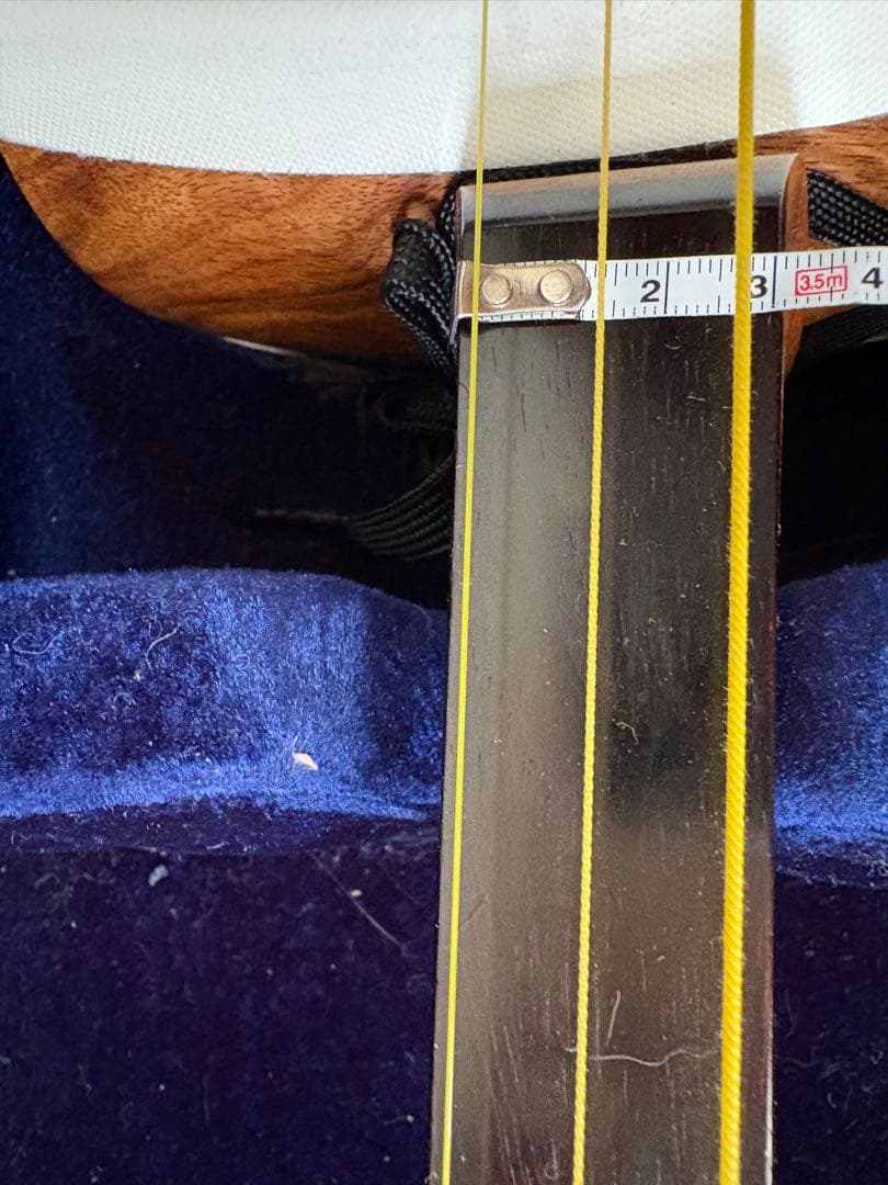 津軽三味線ケース付き初心者