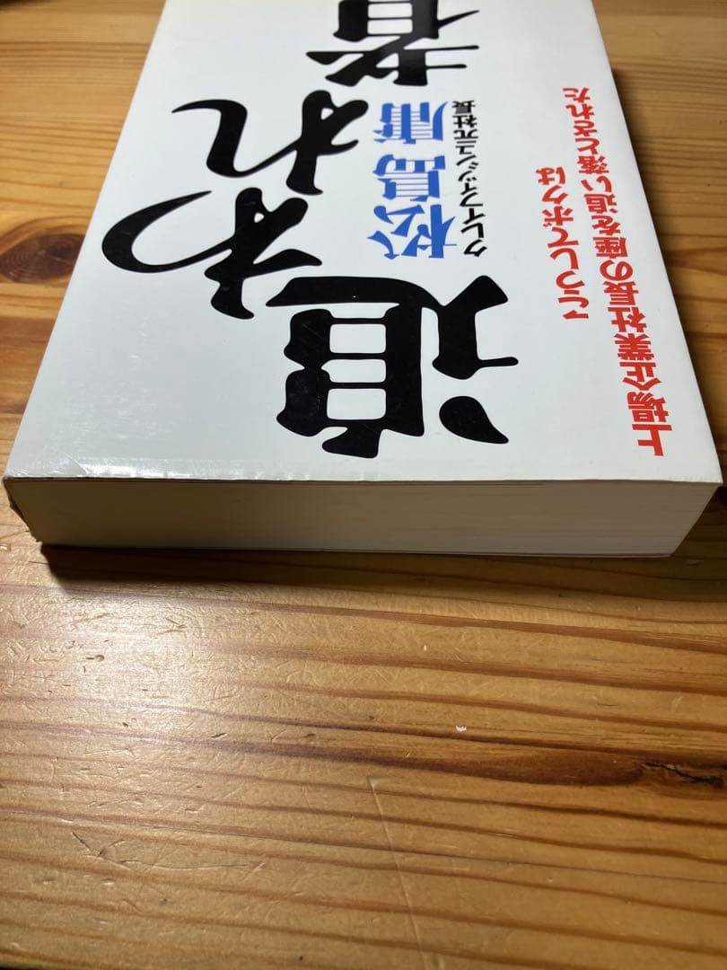 追われ者 松島庸著