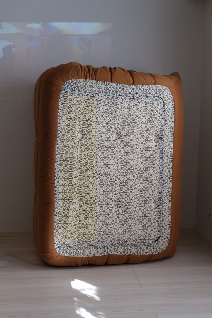 リーンロゼ　ligne roset トーゴ2p ブラウン【廃盤カラー】