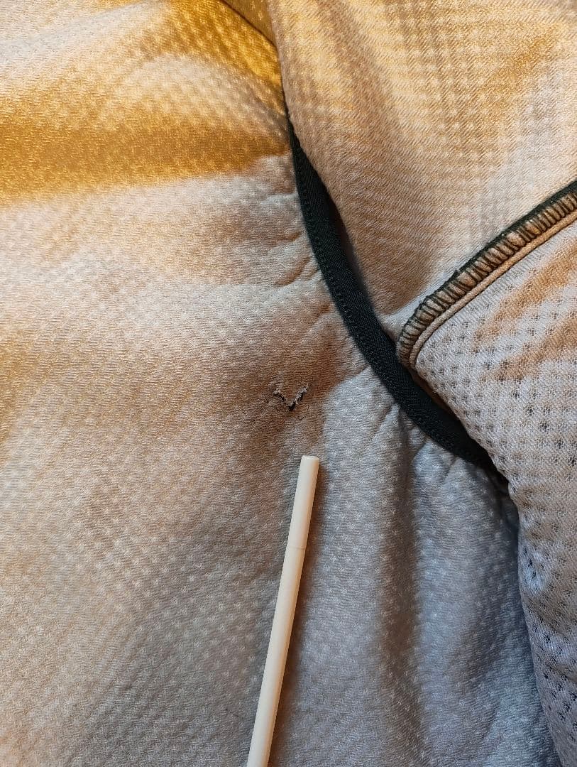 patagonia フリースベスト レトロ XL usa