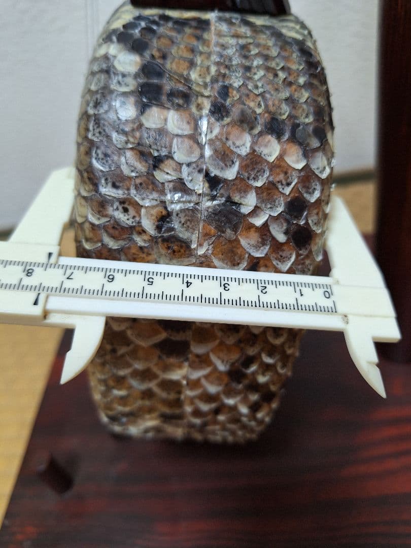 沖縄　三線　南風原　フェーバラー