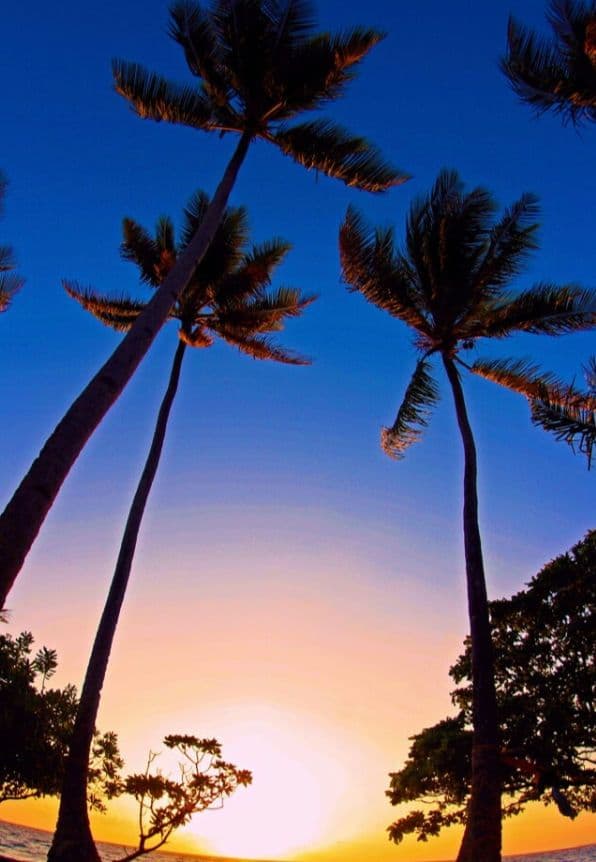 あ様　CANON　EOS　KissX　広角から望遠まで　初心者　一眼レフ