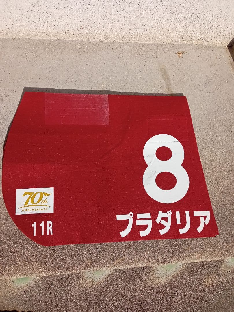 競走馬ゼッケン(プラダリア号)