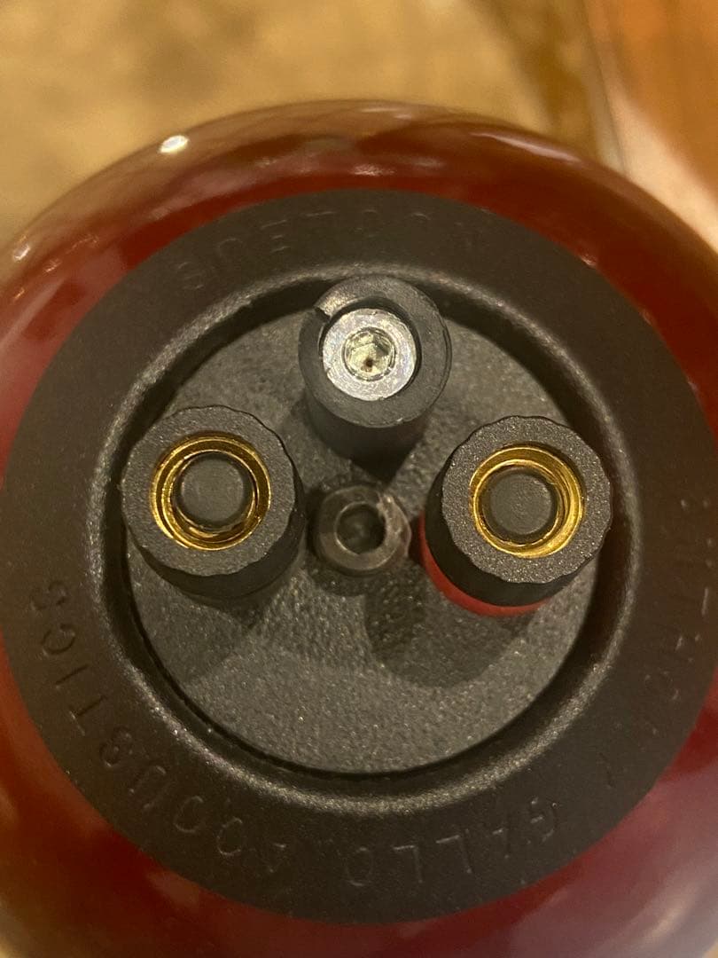 ANTHONY GALLO アンソニーギャロ ２個セット スタンド付