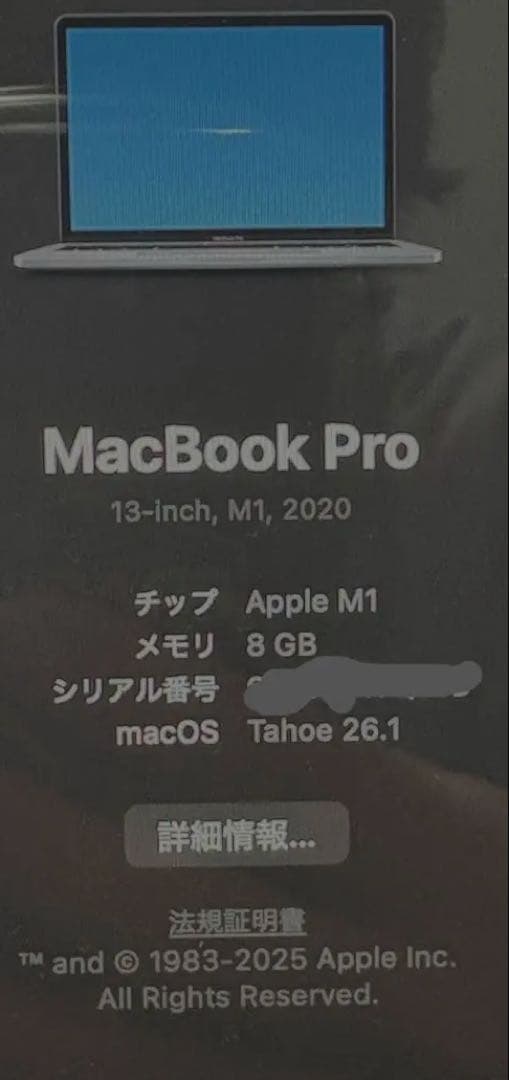 【最大容量100%】MacBook Pro (13-inch, 2020)