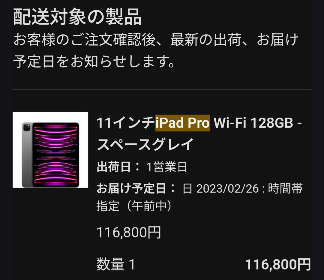 Apple iPad Pro スペースグレー 本体