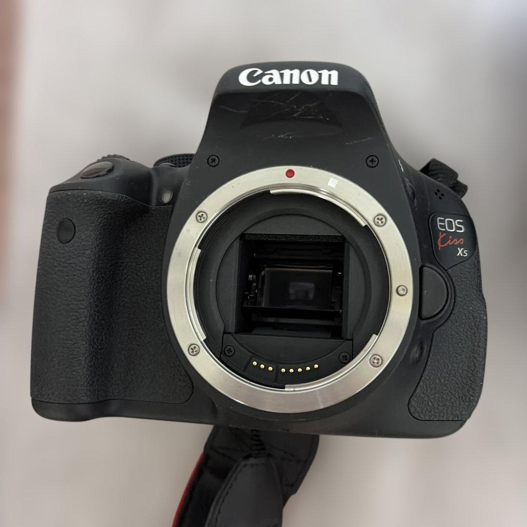 キャノン EOS KissX5 ダブルズームキット 週末限定価格
