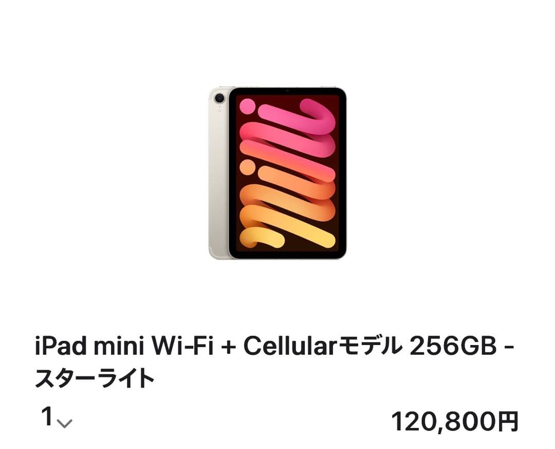 【美品】iPad mini 7 256GB celluler + folio