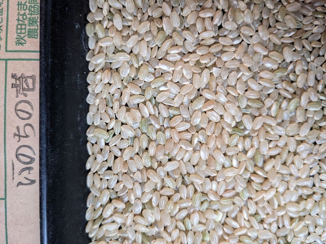 農家直送！最高級品種！いのちの壱玄米29キロ　7年産