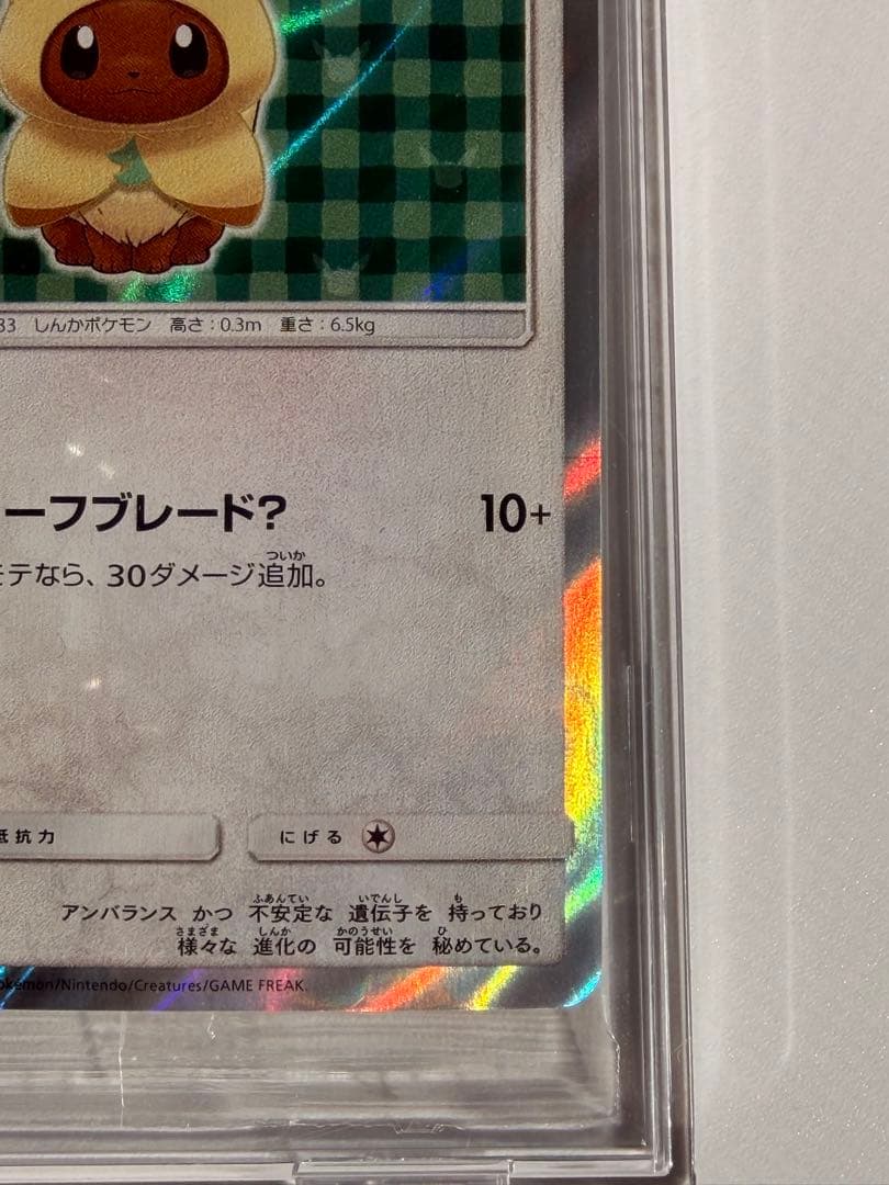 ポンチョを着たイーブイ（リーフィア） プロモ　未開封パック