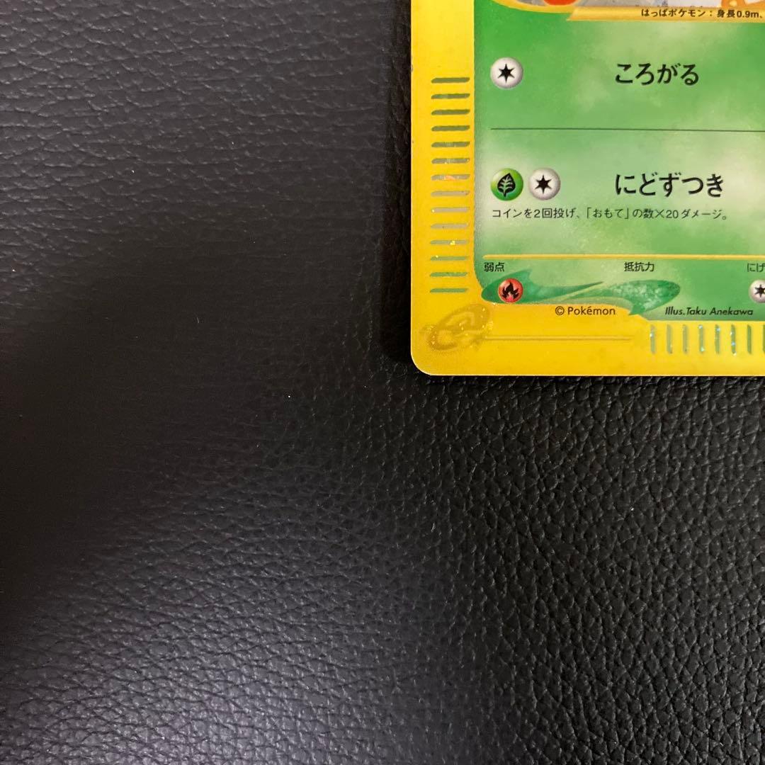 チコリータ　eカード　003/018 ポケモンカード