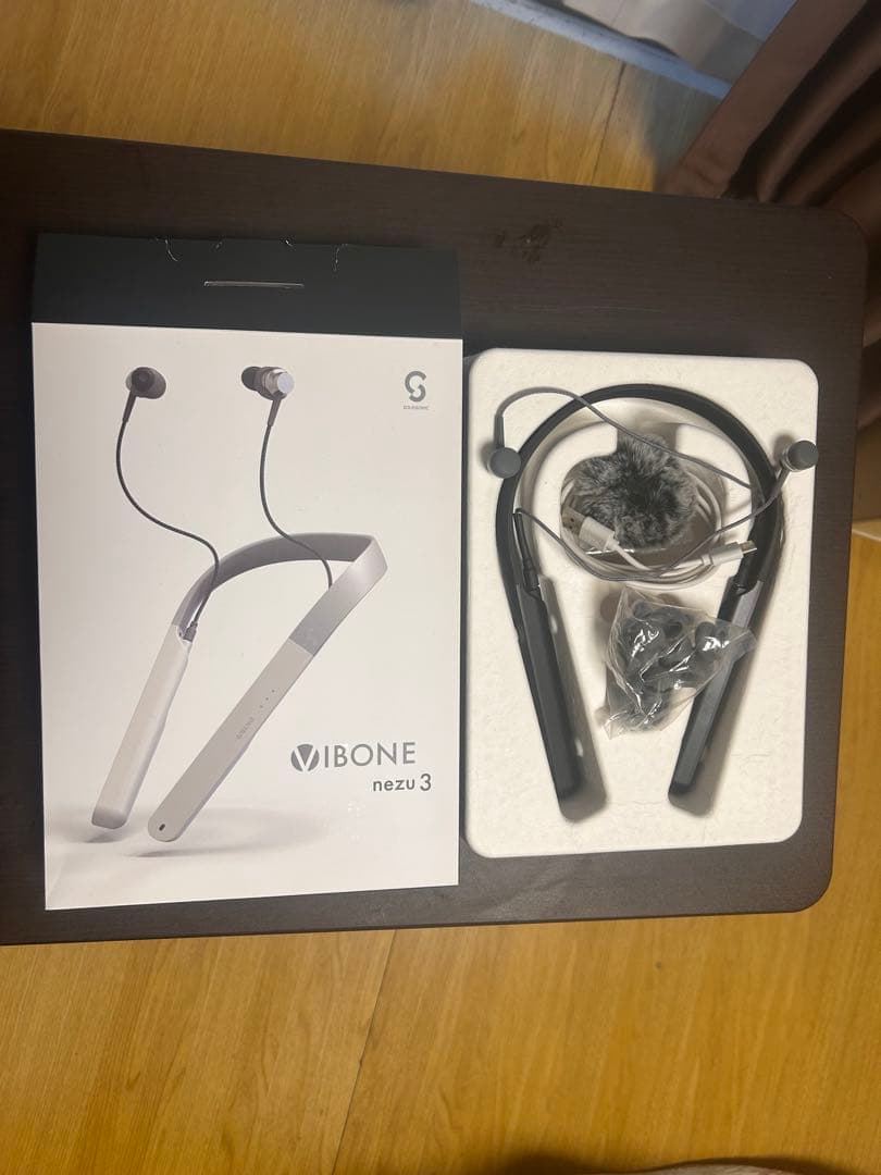 骨伝導集音器ネズ3