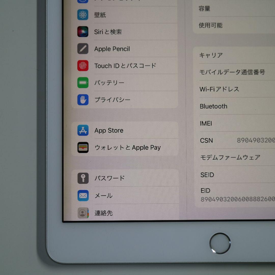 【液晶焼け大】iPad (第8世代) 32GB WiFi+Cellular