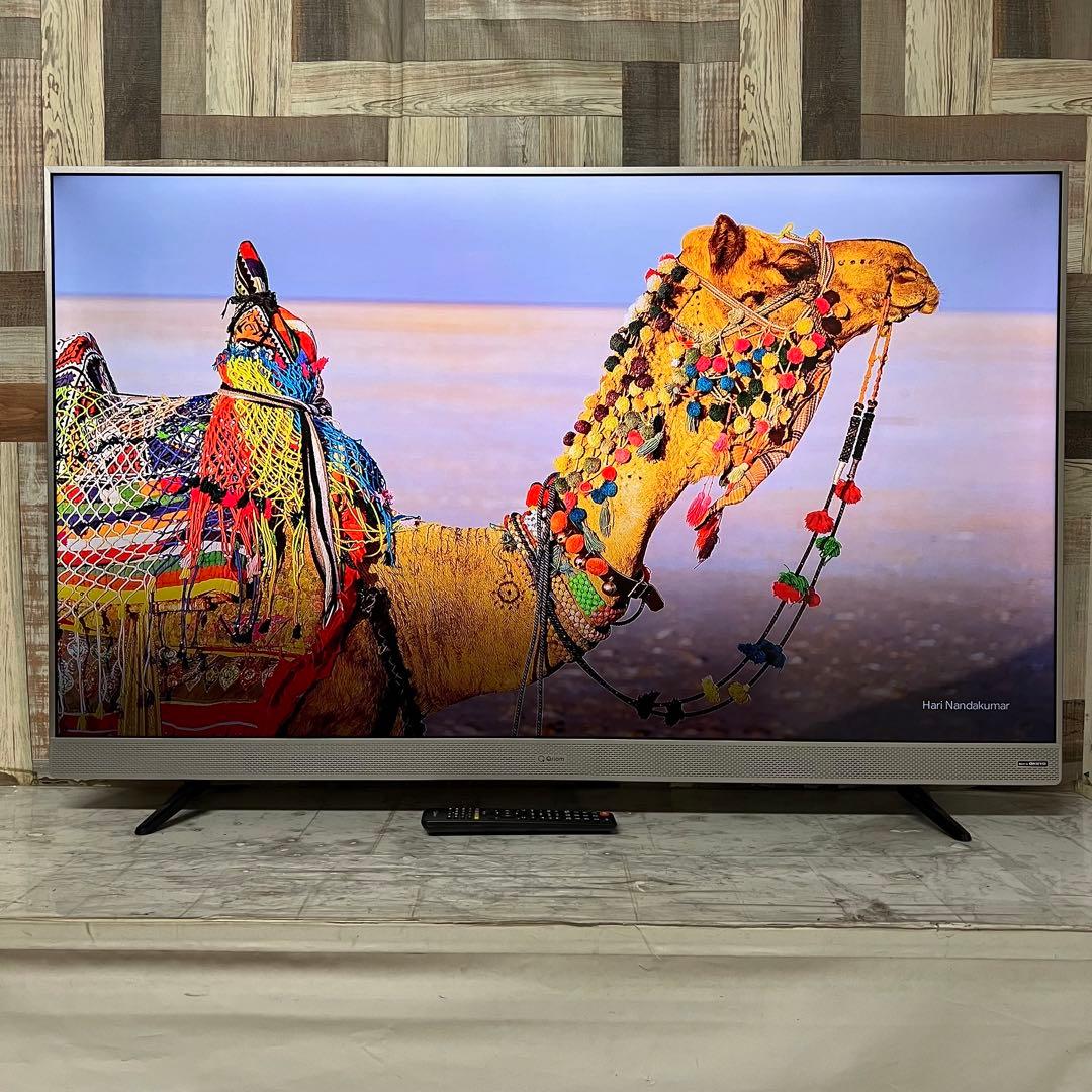 マサマサ さん専用Qriom55V型4K液晶テレビ高音質ONKYOスピーカー外付