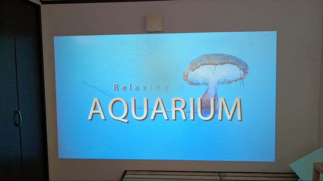 EGOBASホワイト プロジェクター 本体