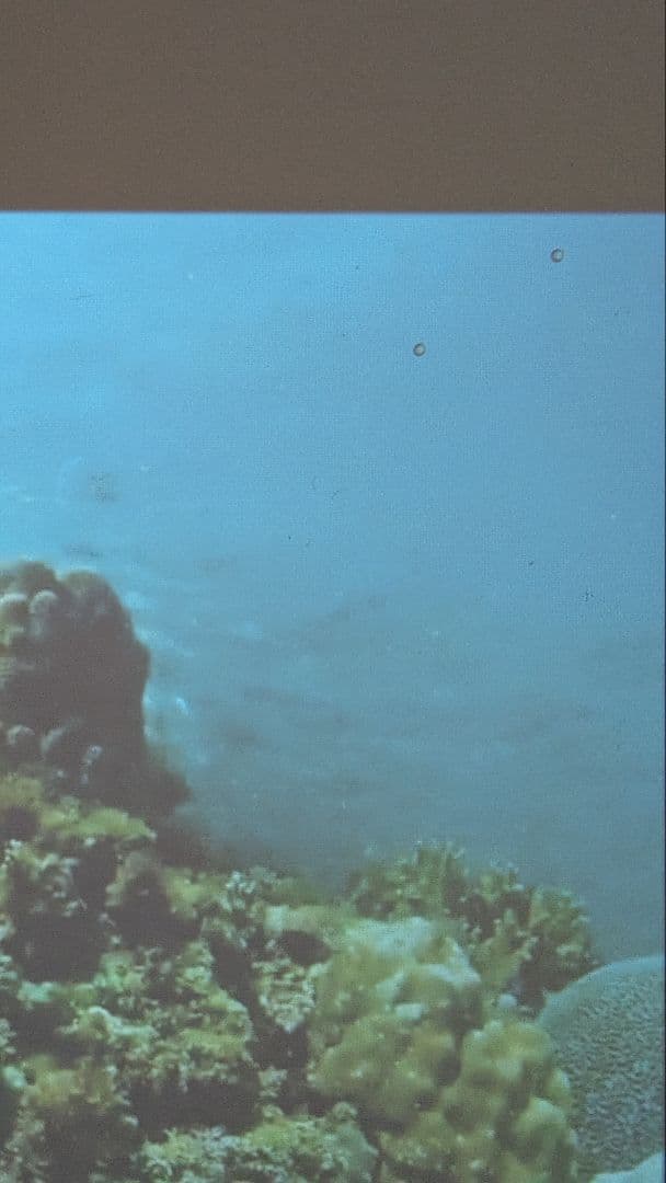 EGOBASホワイト プロジェクター 本体