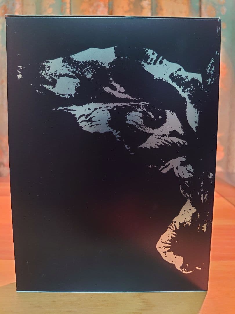 CROW 飛翔伝説 コレクターズDVD BOX（Brandon Lee主演）