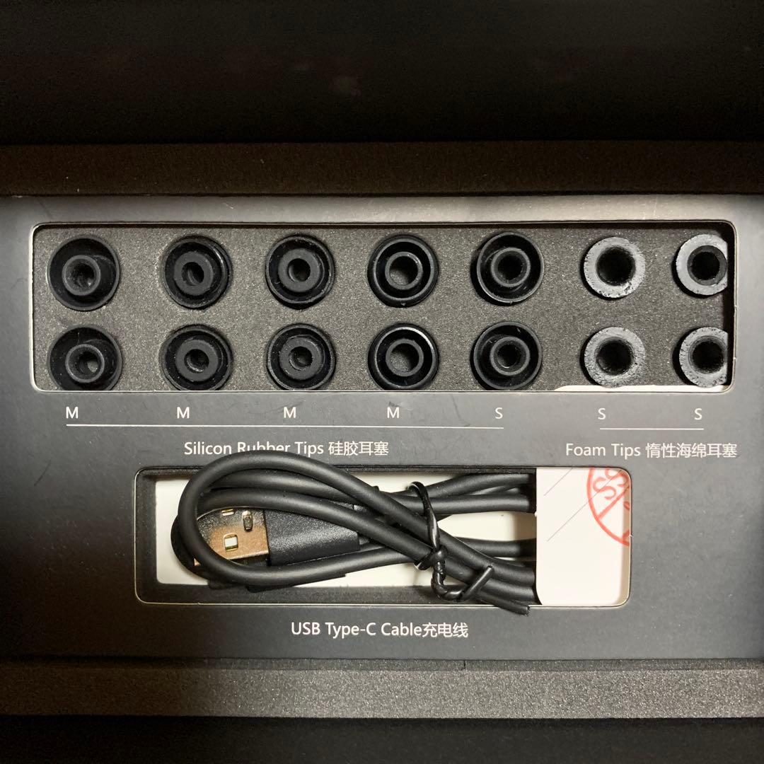 ワイヤレスイヤホン HIFIMAN Svanar Wireless