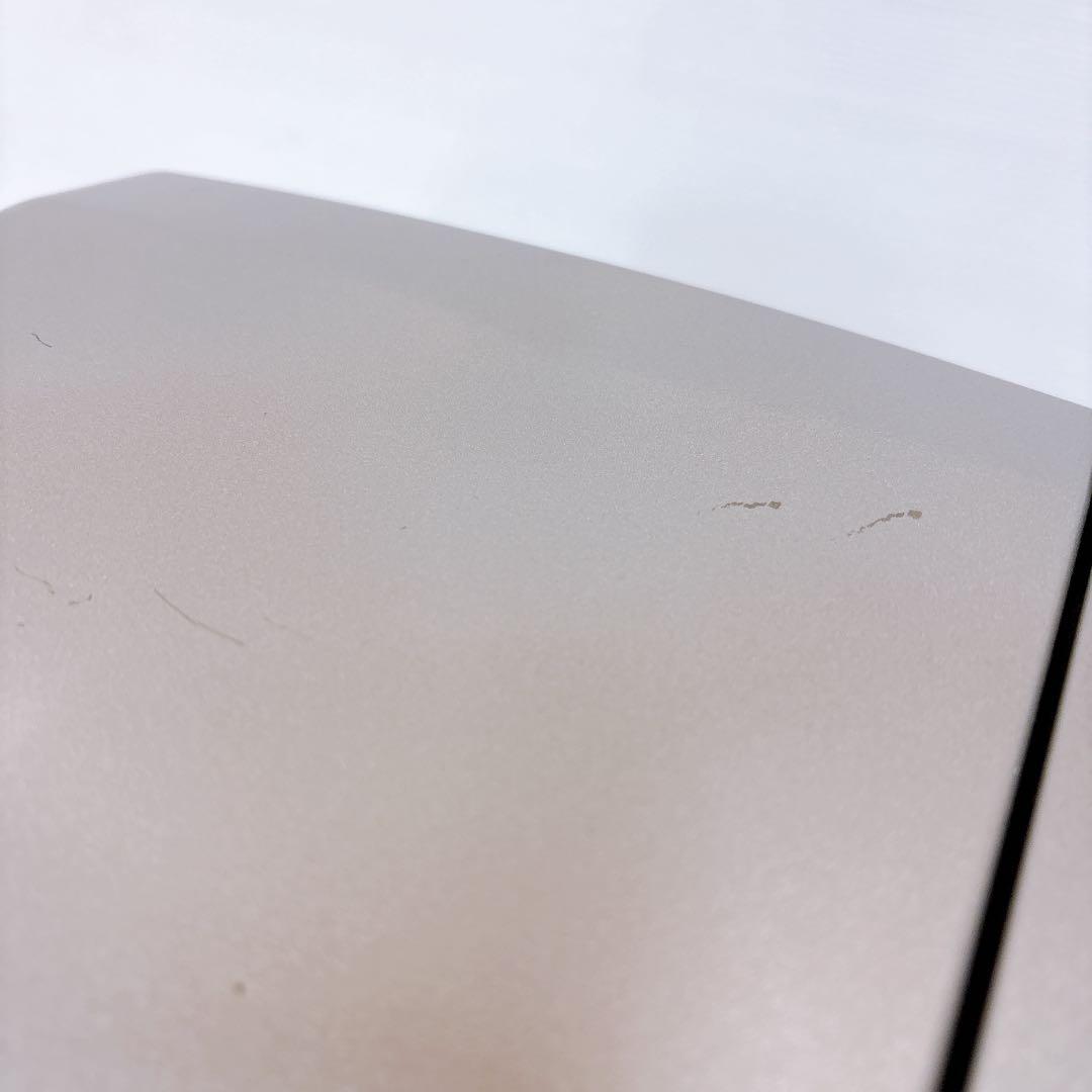 2021年製 ダイニチ 強制通気型開放式石油ストーブFW-4221S(S)