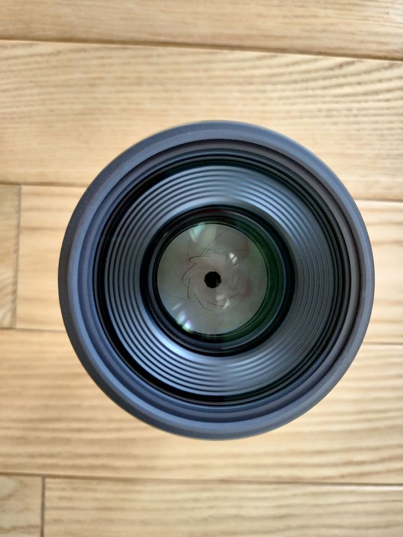 Canon RF 100mm F2.8 L MACRO & zetaフィルター