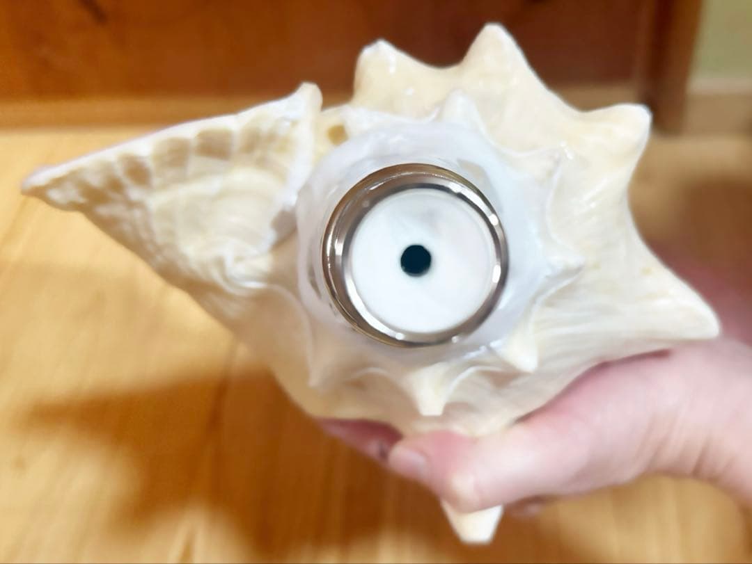 希少古代特大肉厚桃色法螺貝　（ピンク貝）法螺貝　ほら貝❣️コンク貝笛