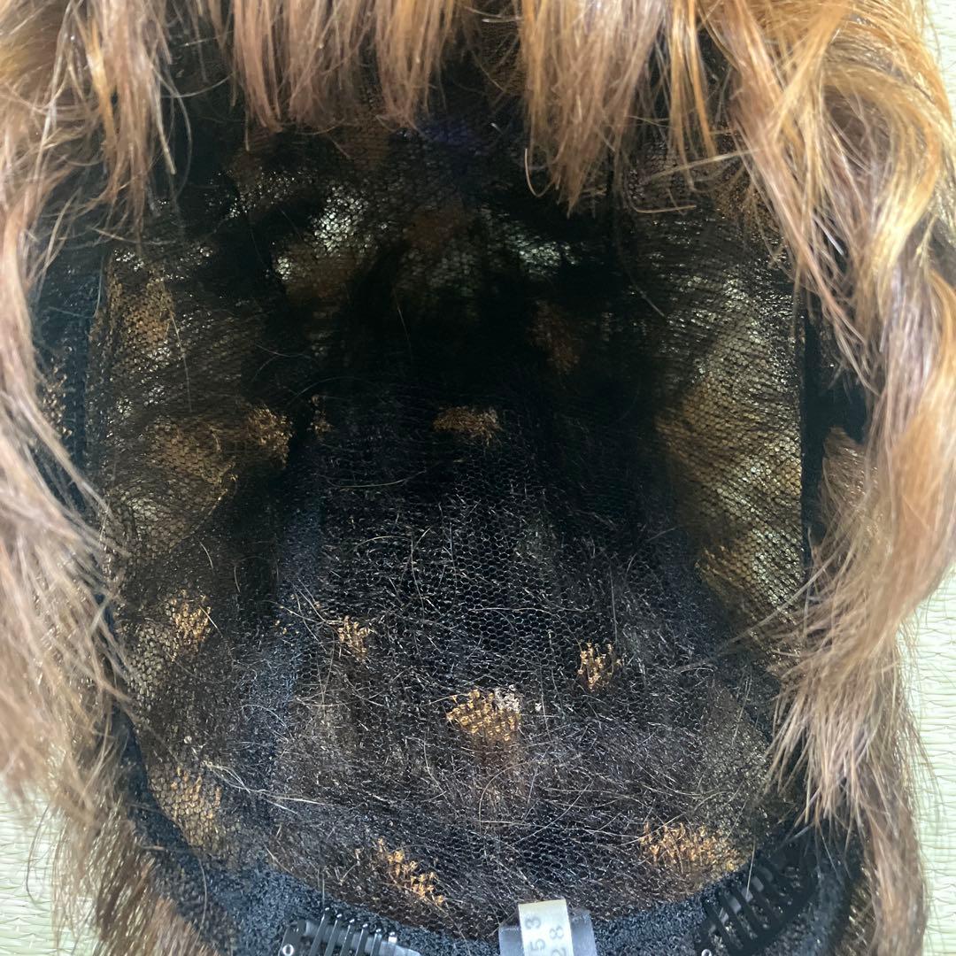 ウィッグ 本体のみ ブラウン系 メーカー不明 箱フォンテーヌ