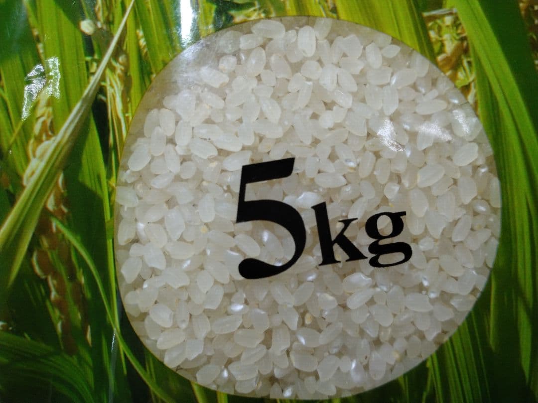 青森県産　まっしぐら　 5kg×2個【令和７年産】