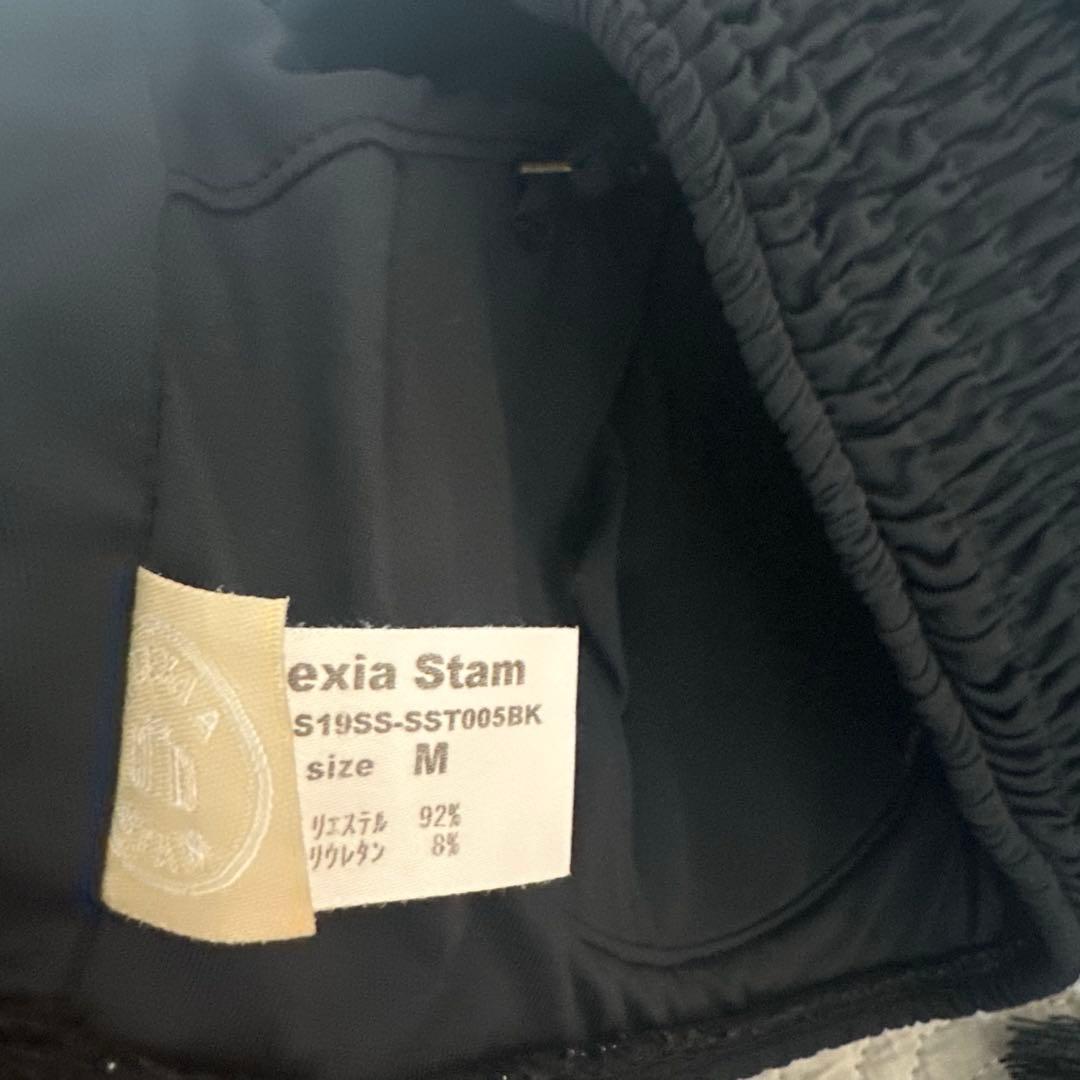 alexia stam ビキニ 上下セット