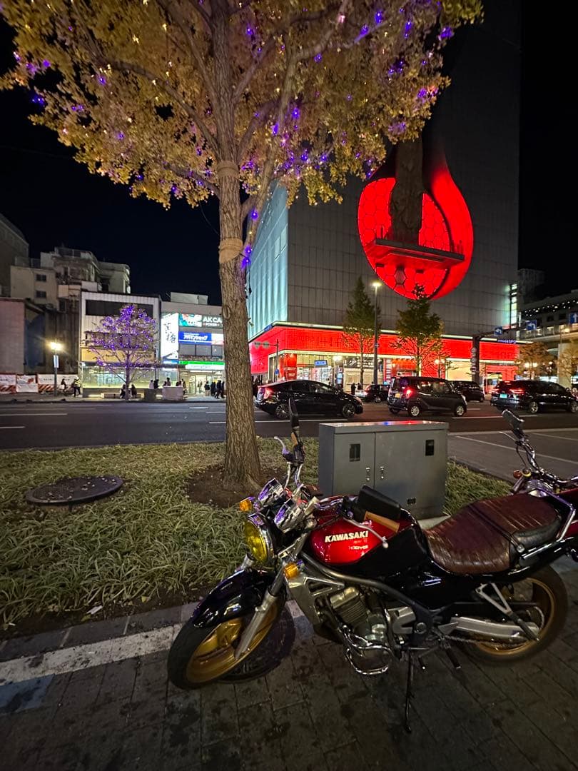 カワサキ　バリオス一型　バイクネイキッド 赤／黒　250cc 不具合なし