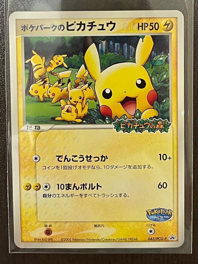 ポケパークのピカチュウ　プロモ