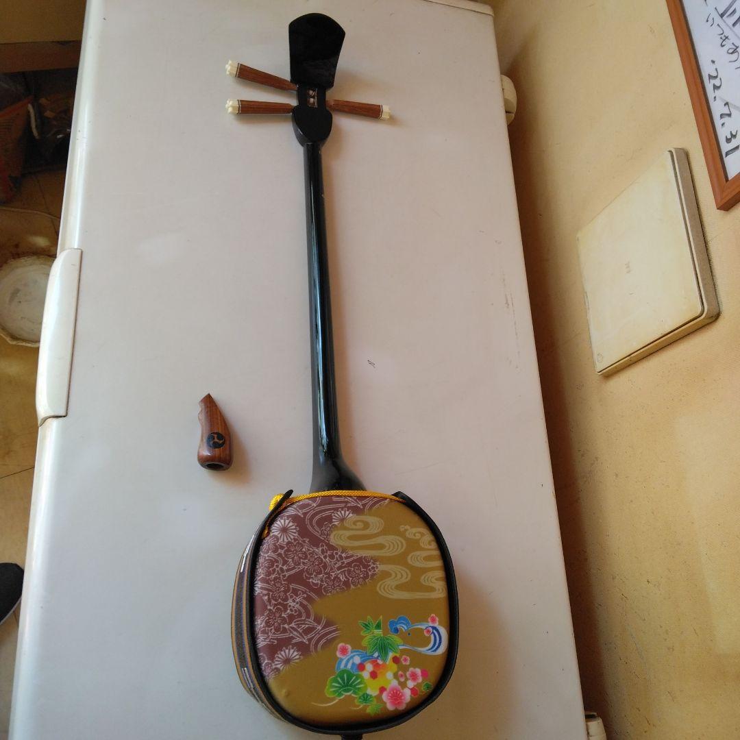 三線 デザイン三線 初心者用