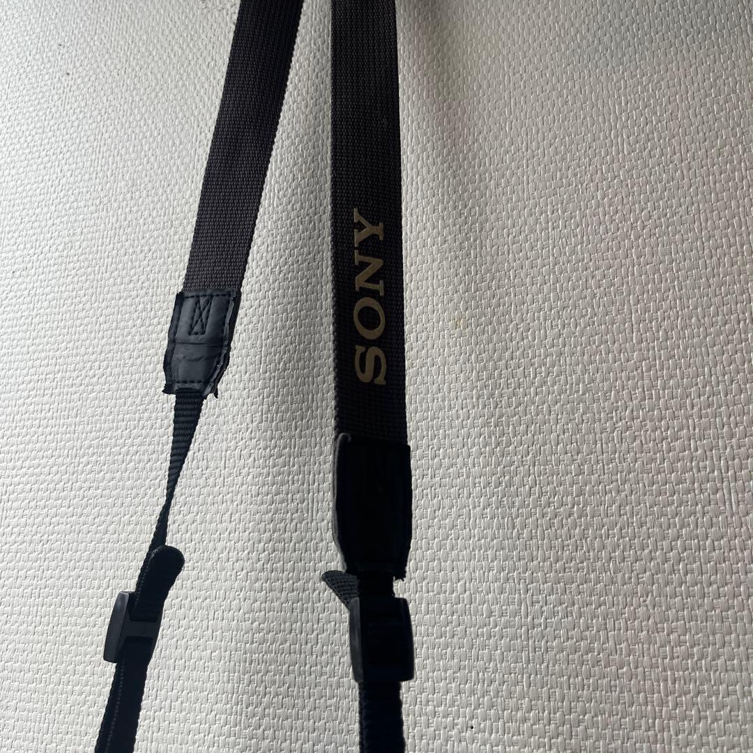 SONY コンパクトデジタルカメラ 12倍ズーム