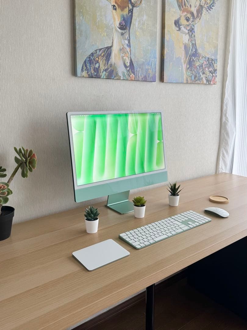 iMac 24インチ M1 16GB / 1TB グリーン