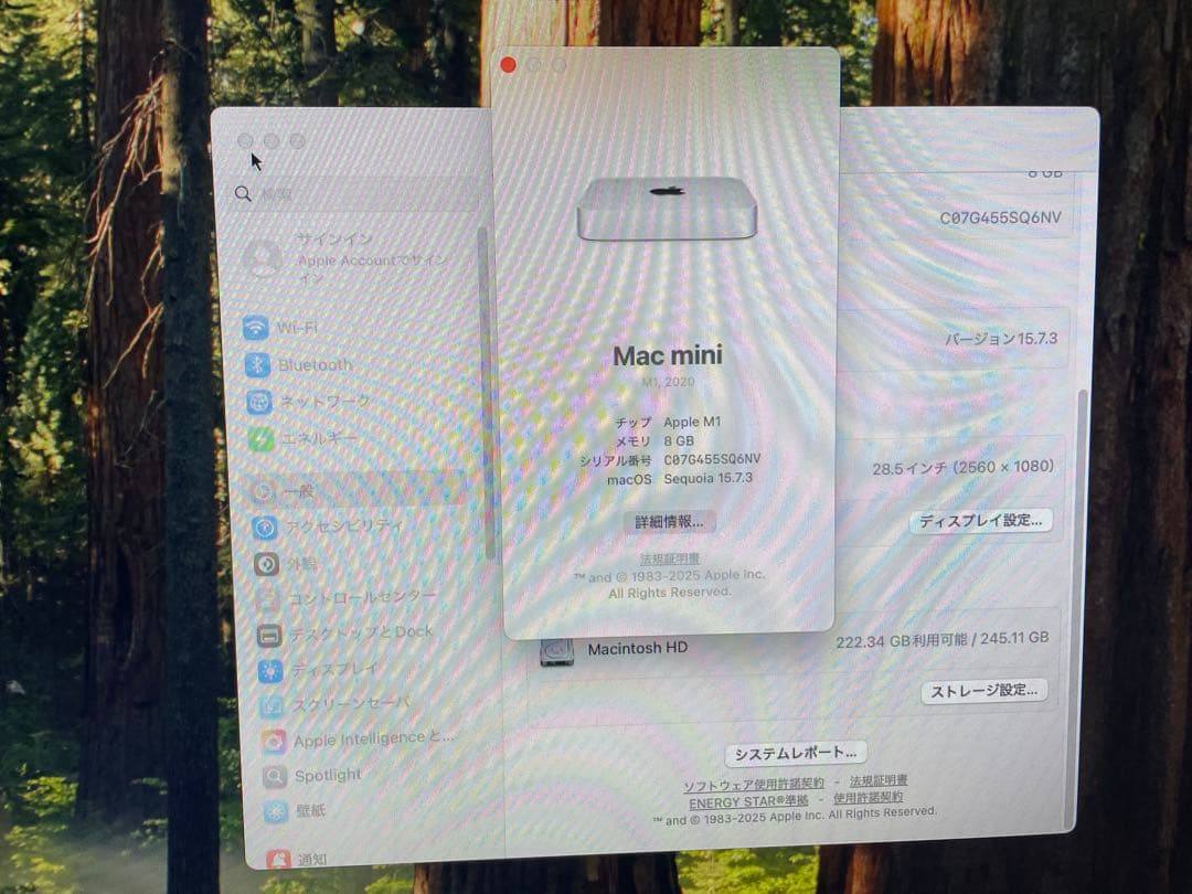 Apple Mac mini シルバー 本体　m1 8GB 256GB