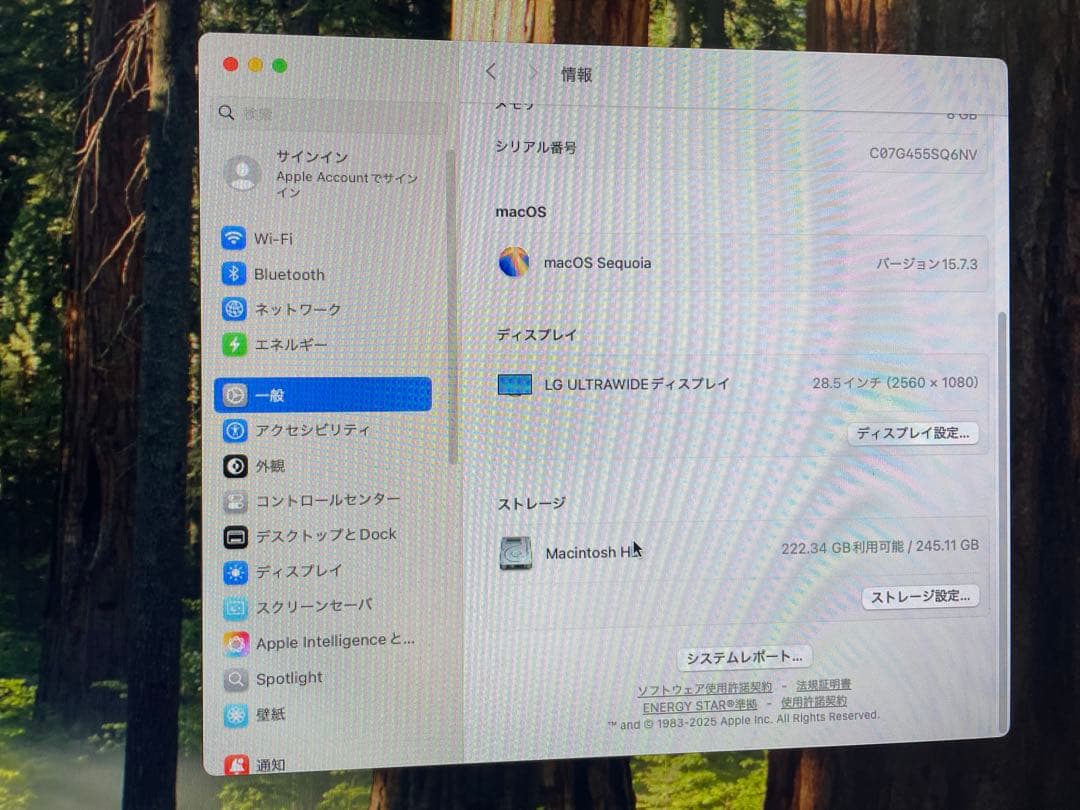 Apple Mac mini シルバー 本体　m1 8GB 256GB