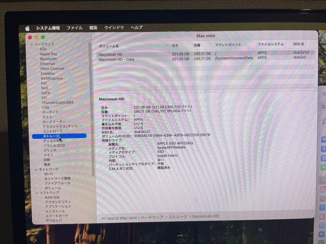 Apple Mac mini シルバー 本体　m1 8GB 256GB