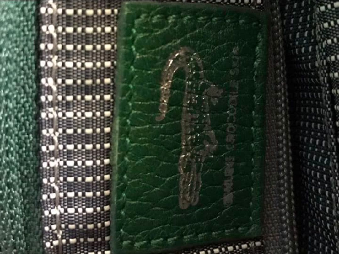 最後のお値下げ！クロコダイル　2wayハンドバッグ