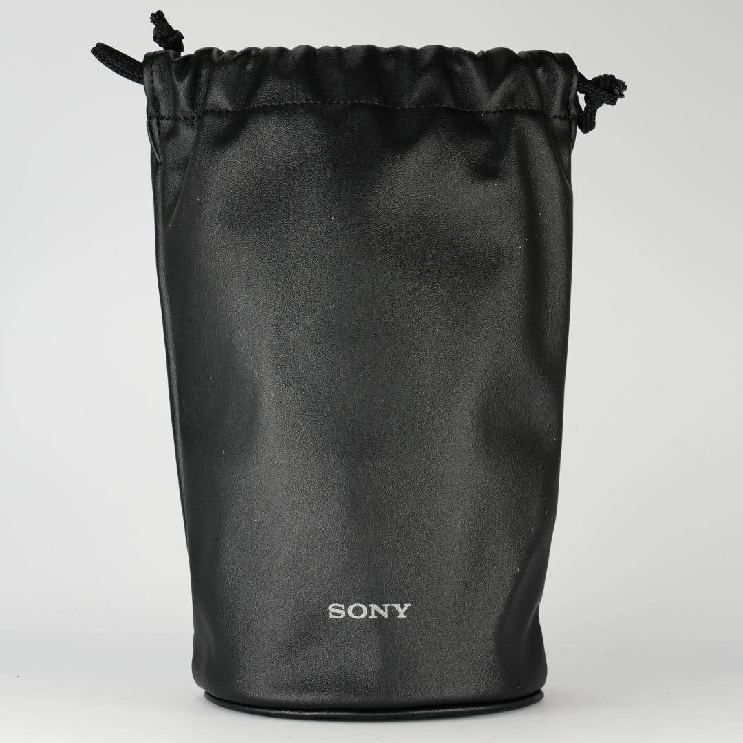 プロが選ぶ旅行最適レンズ SONY SEL24105G 極美品 万能ズームレンズ