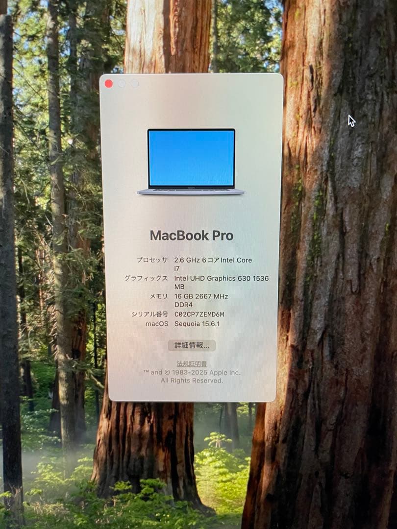 MacBook Pro 16インチ2019 i7 16G 512Gスペースグレー