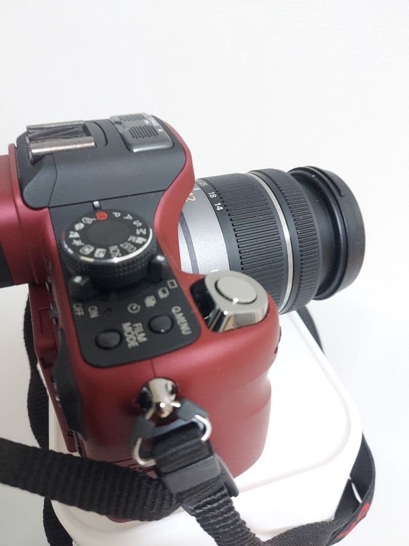 極美品　Panasonic LUMIX DMC-GH1 動作確認済み