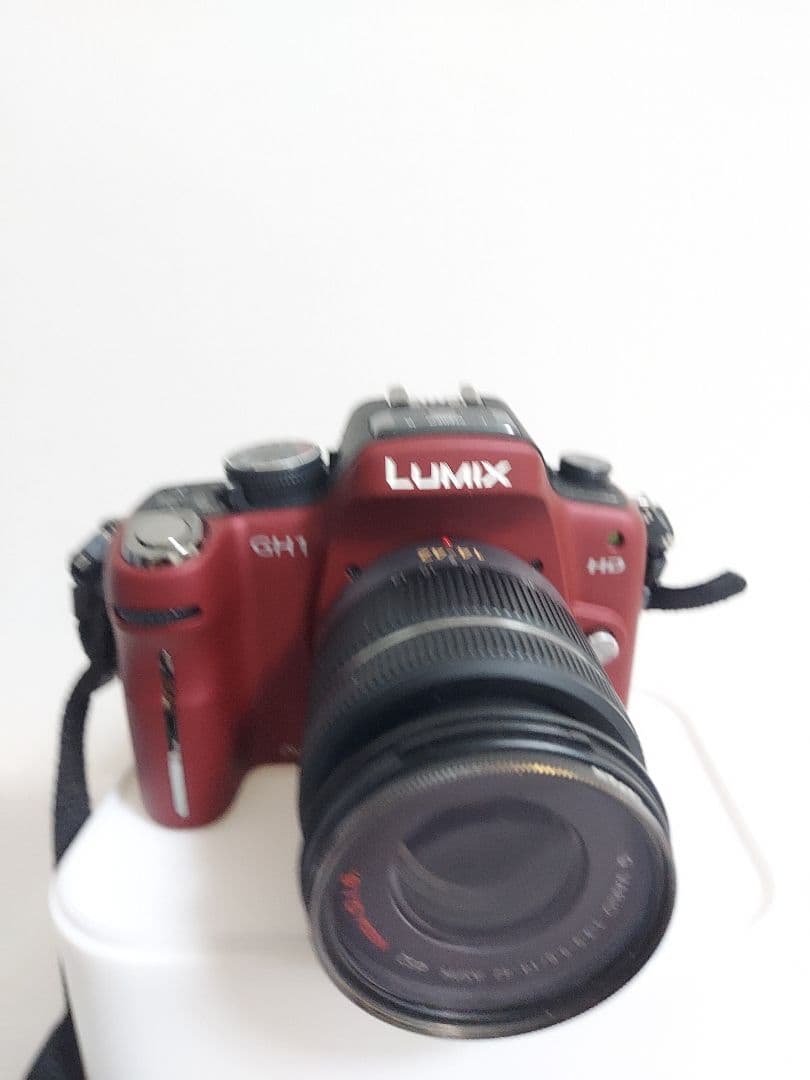 極美品　Panasonic LUMIX DMC-GH1 動作確認済み