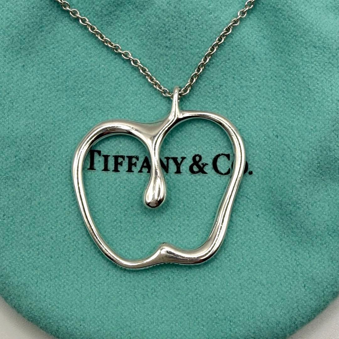 お買い得★希少 ティファニー アップル ラージ ネックレス シルバー ビッグ