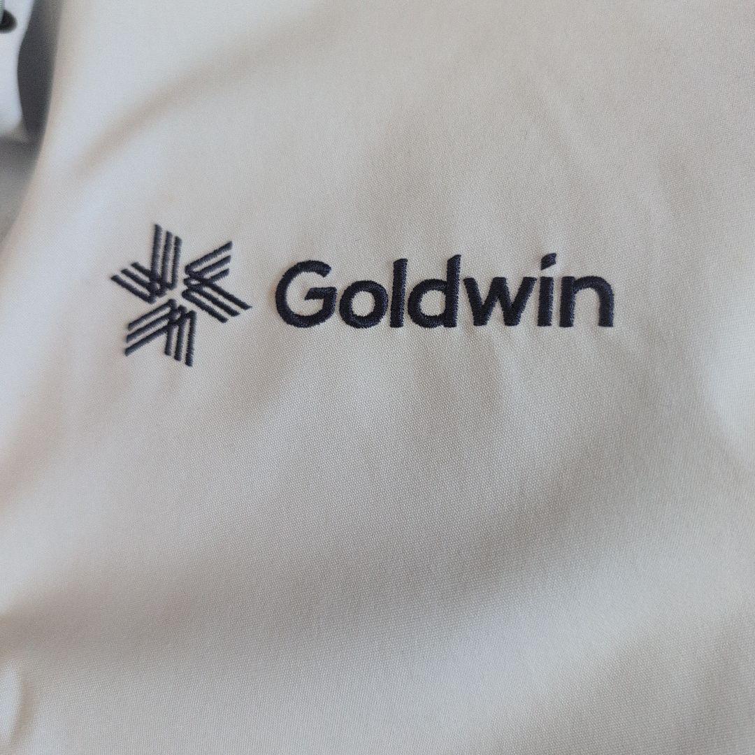 美品Goldwin上下スキーウェアMサイズ 2021-2022モデル
