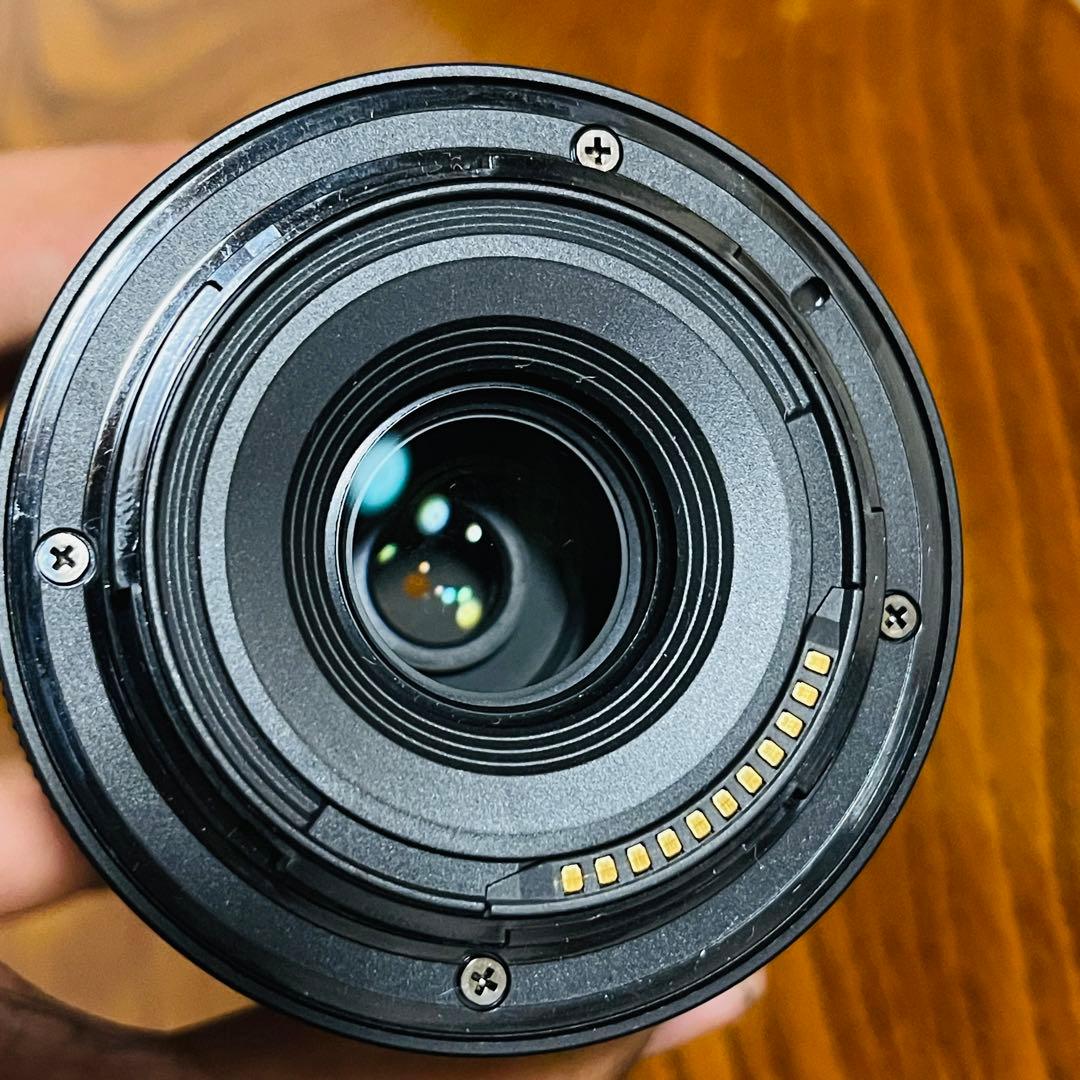 NIKKOR Z DX 50-250mm f/4.5-6.3 VR 62 動作品