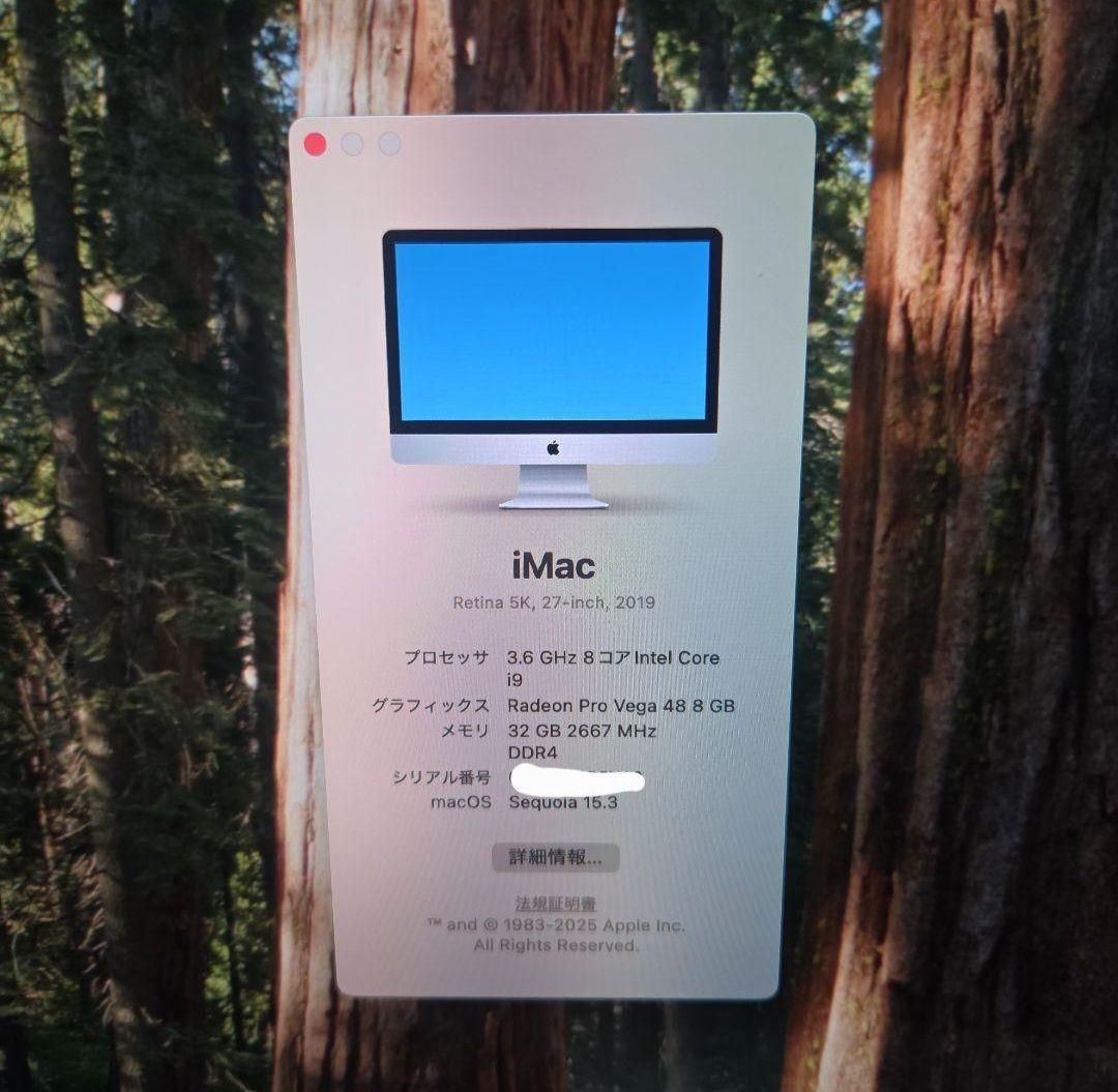 IMAC 2019 Retina 5K 27インチ i9 32GB SSD1TB