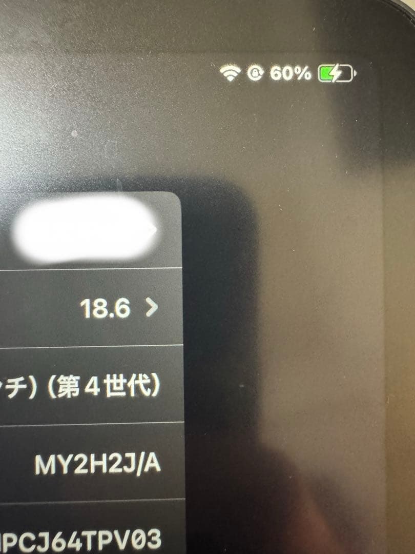 iPad Pro本体のみ 第4世代 128GB