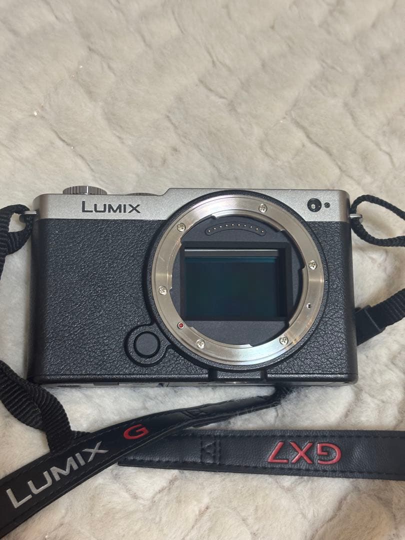 値下げ不可！Panasonic LUMIX S9 ブラックシルバー コンパクト