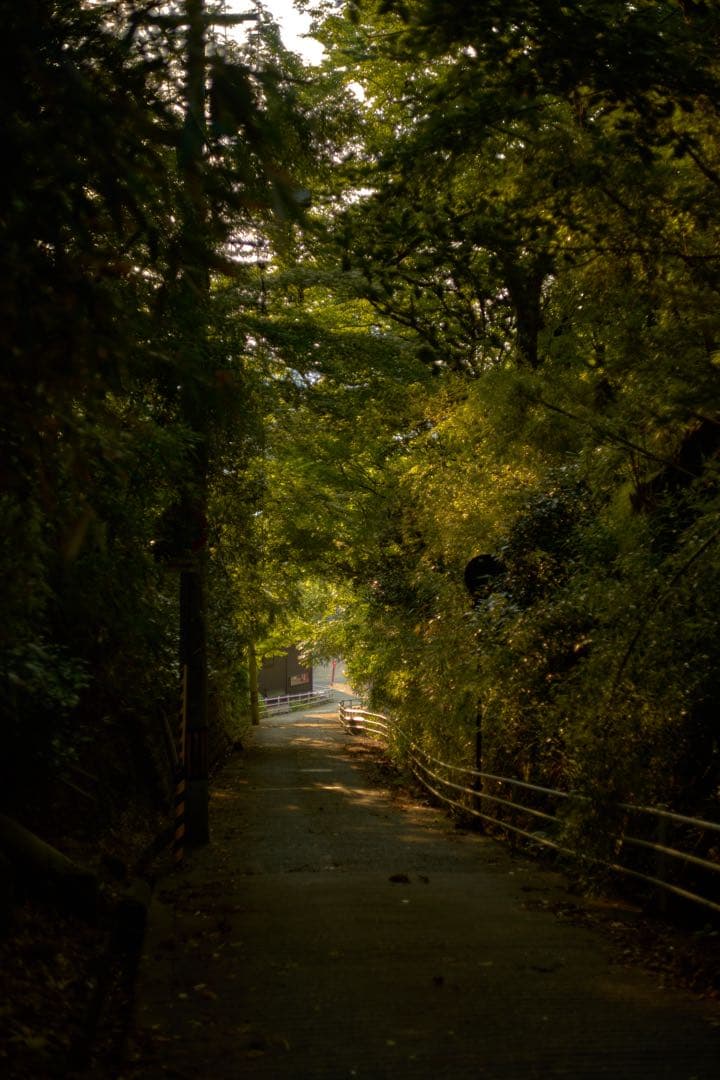 【整備済み】Summicron R 50mm f2 2カム